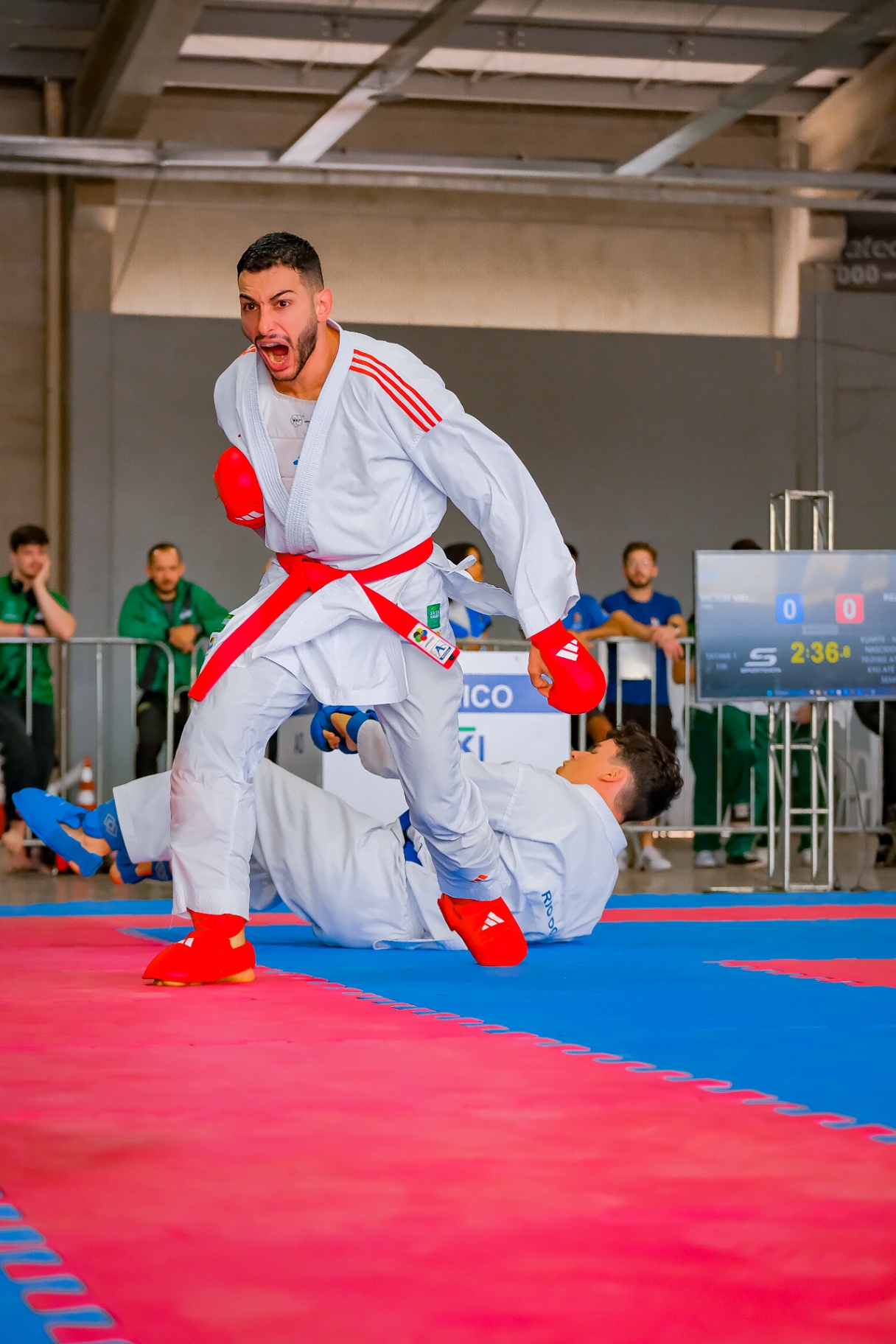Explosão de comemoração após ippon em kumite
